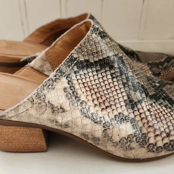 Frye & Company Leather Snake Skin Print Mules 'Jacy' slip on Shoes SZ 9 - Picture 4 of 7